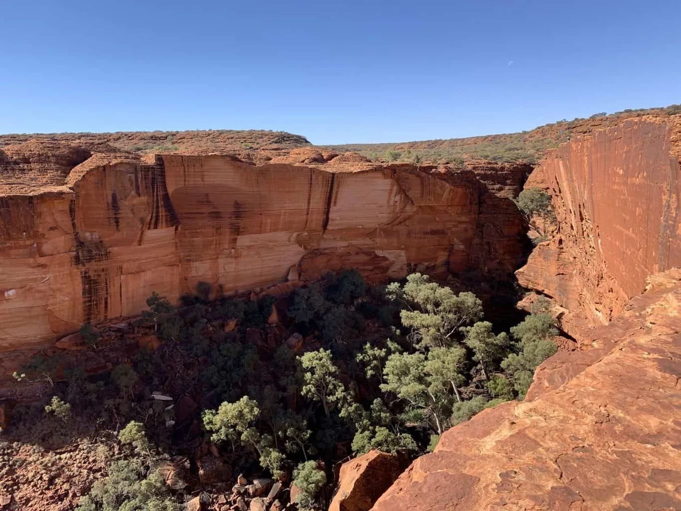 Kings Canyon Rim Walk Views