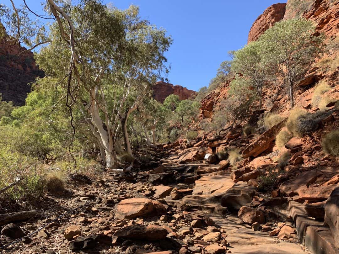 Your KINGS CANYON RIM WALK Guide Map, Logistics, and More!