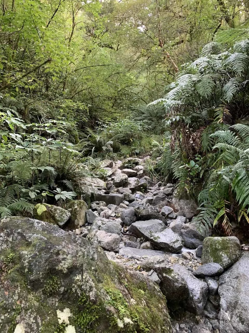 Lake Marian Hike