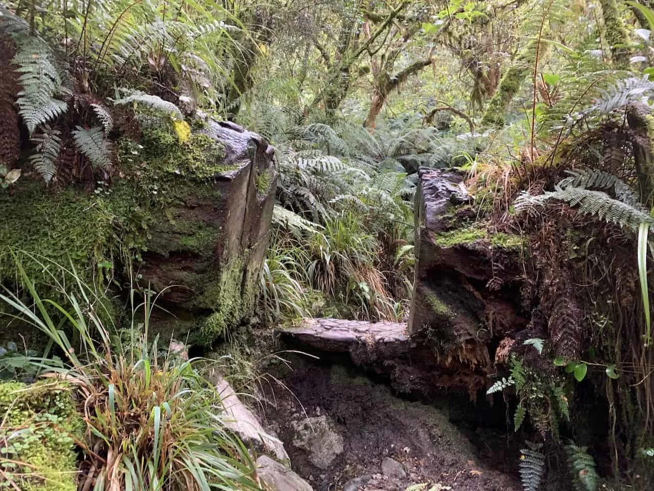 Lake Marian Path