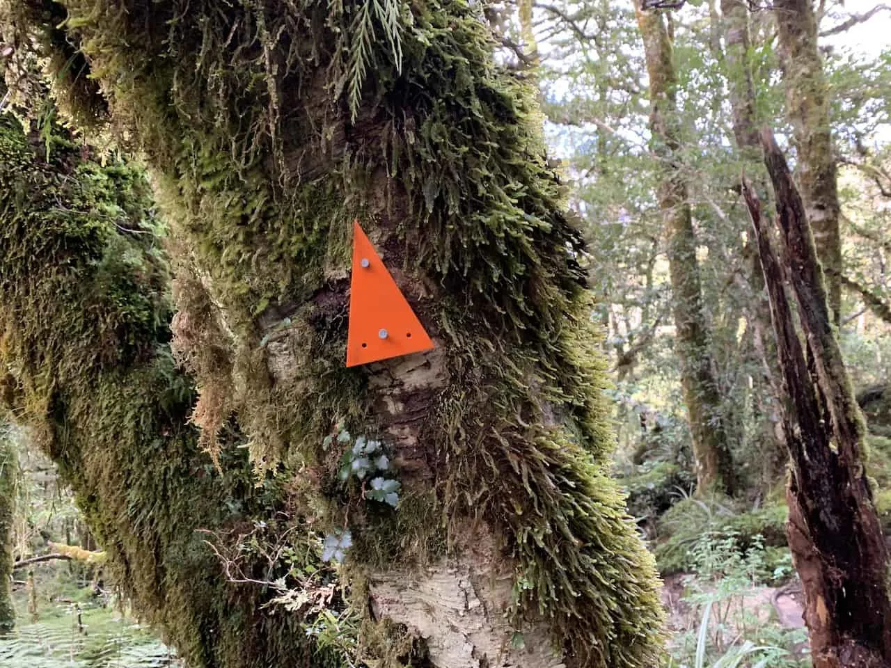 Lake Marian Track Trail Markers