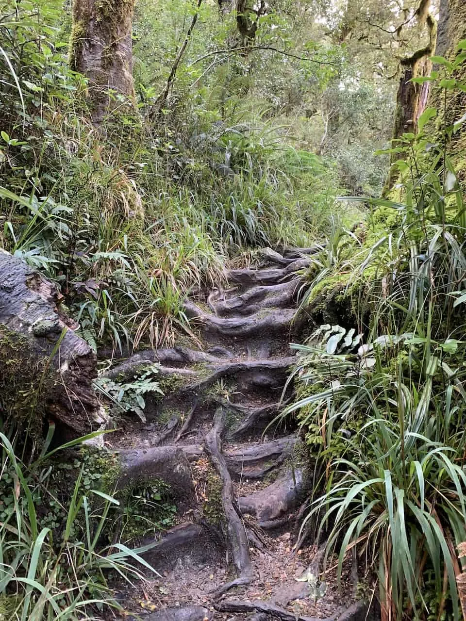 Lake Marian Trail