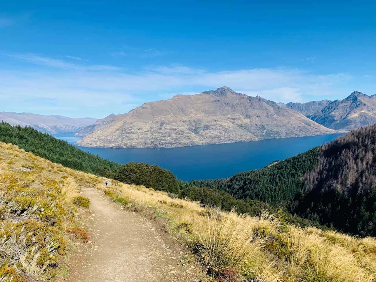 Lake Wakatipu Ben Lomond