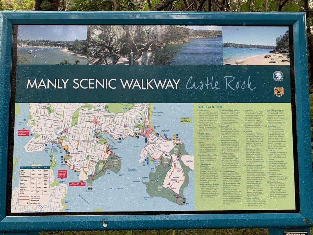 The Spit Bridge to Manly Walk Overview, Map, Logistics & More