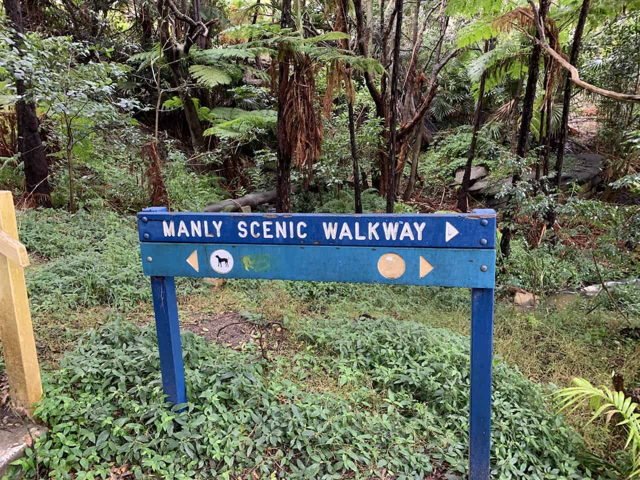 Manly Scenic Walkway Signs