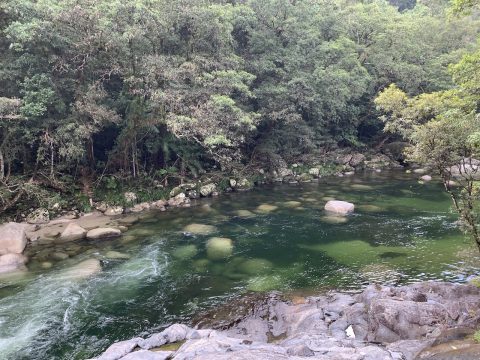 A Helpful Guide to the Mossman Gorge Walk | Mossman Gorge Swimming