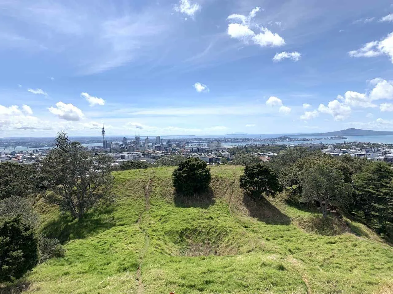 Mount Eden Greenery View