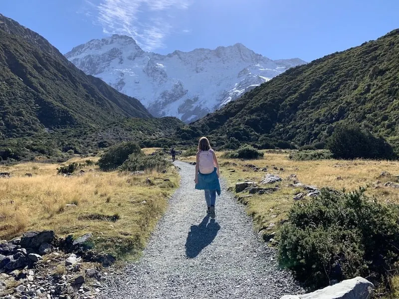 Mount Sefton Mount Cook