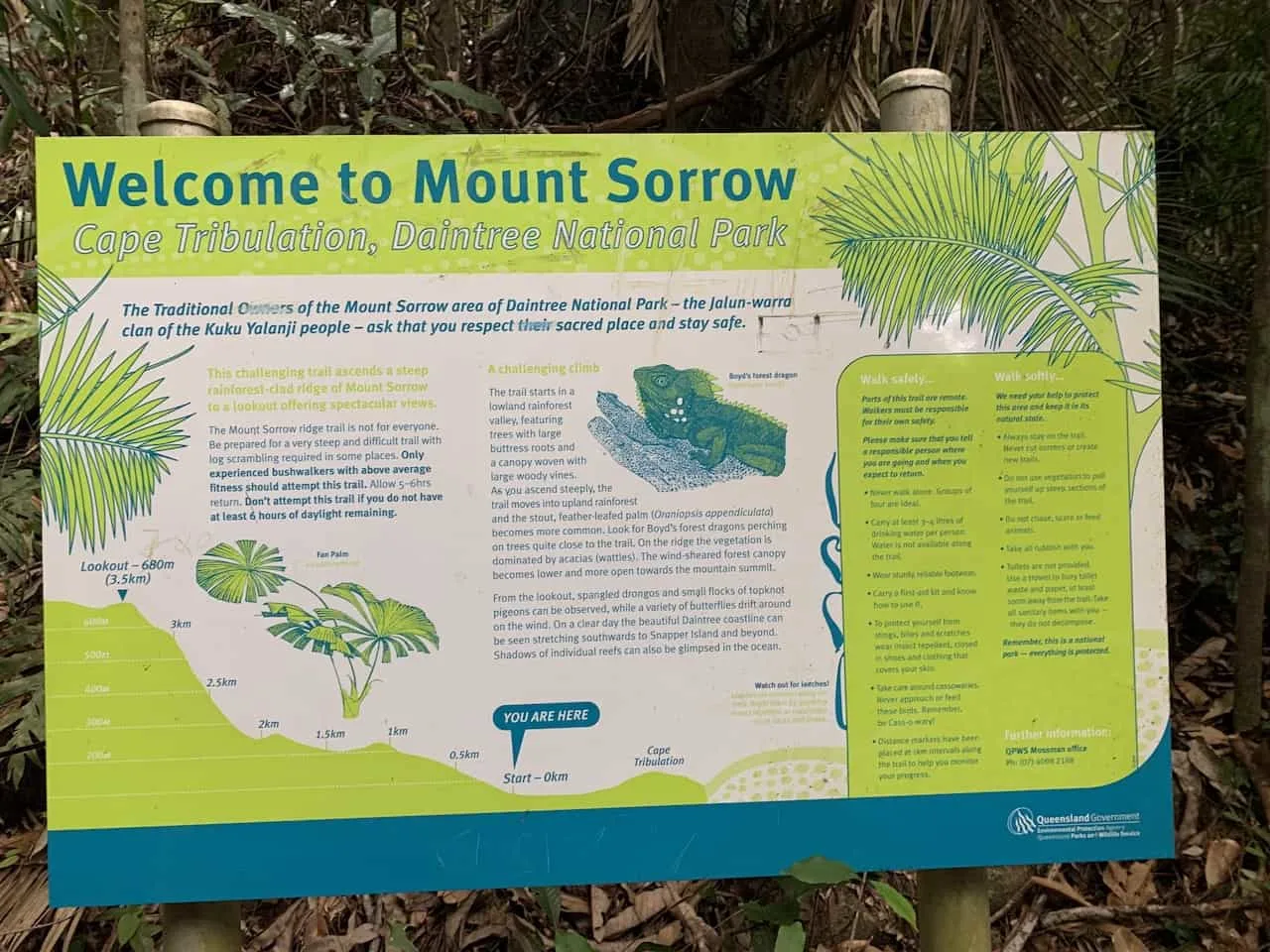 Mount Sorrow Daintree National Park
