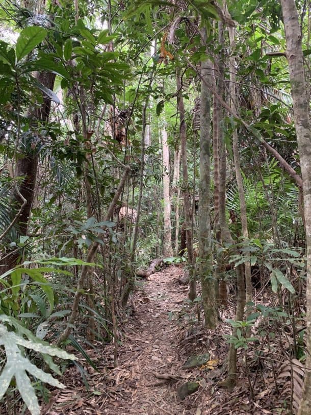 Hiking The Mount Sorrow Ridge Trail 