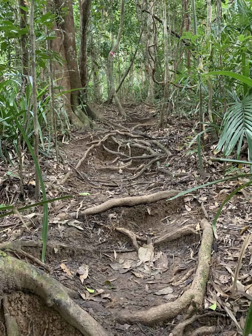 Mount Sorrow Trail