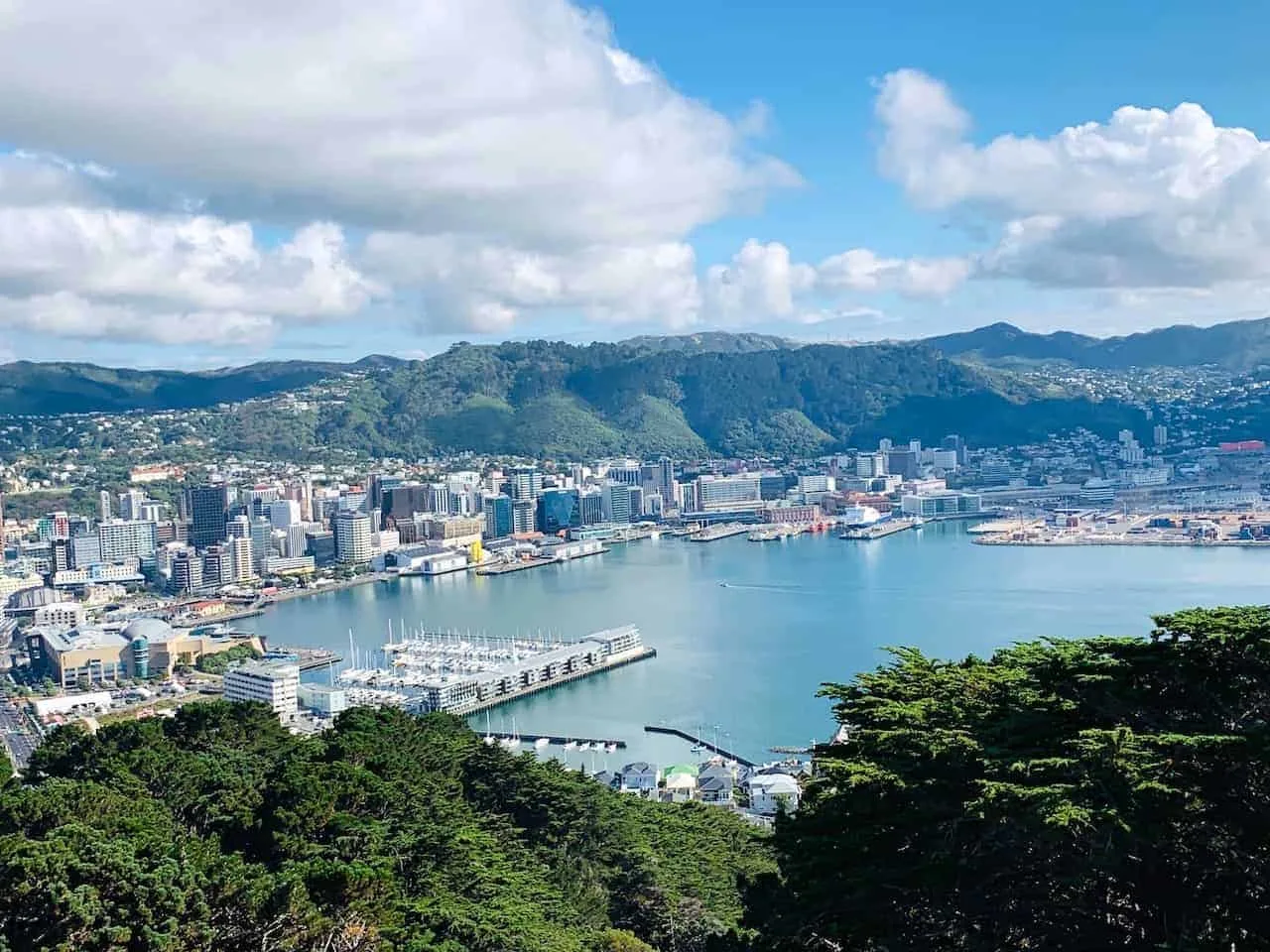 Mount Victoria Lookout Wellington