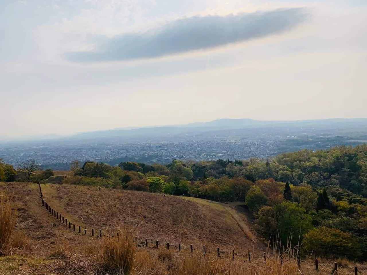 Mount Wakakusayama View