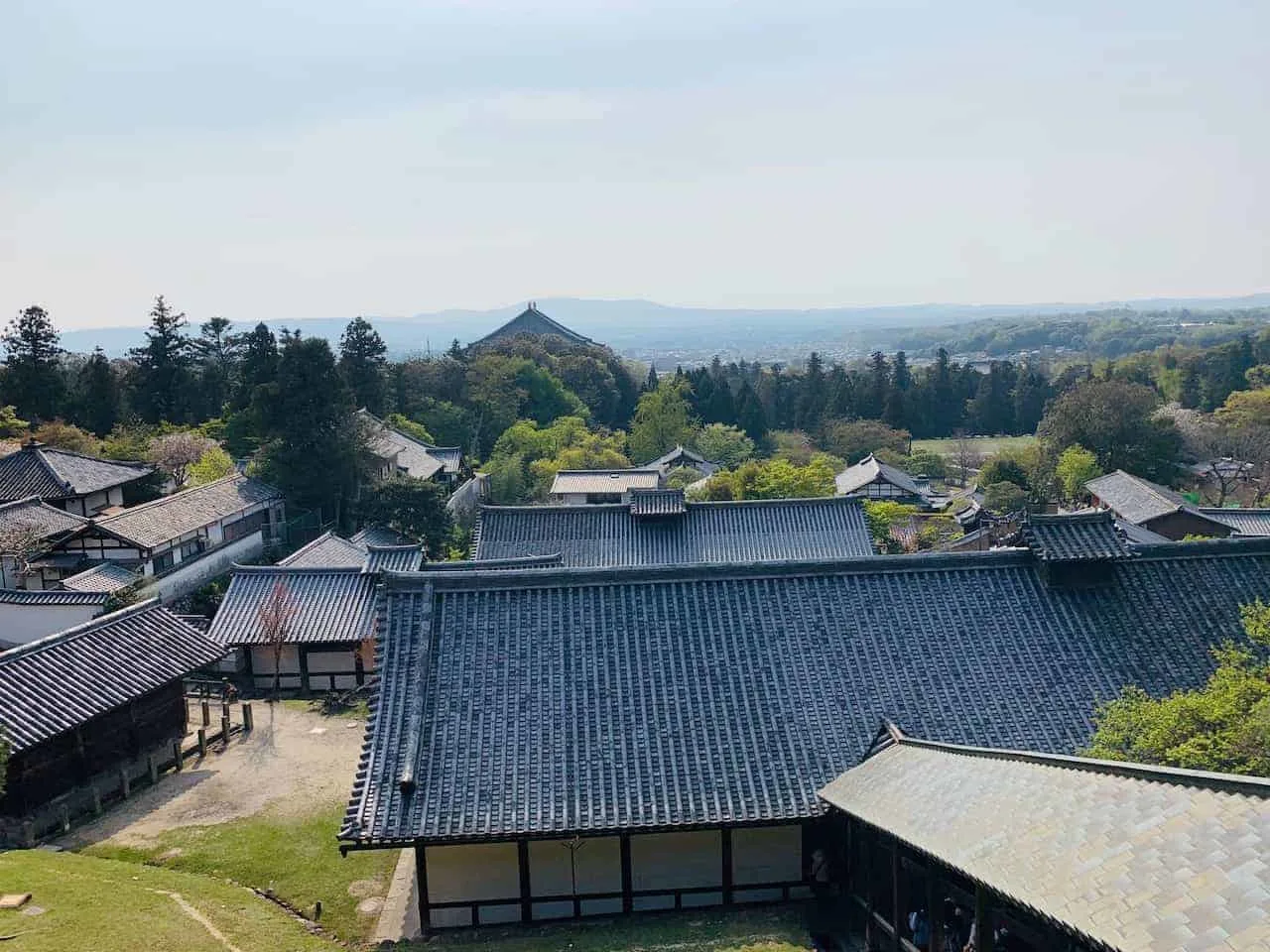 Nigatsudo View