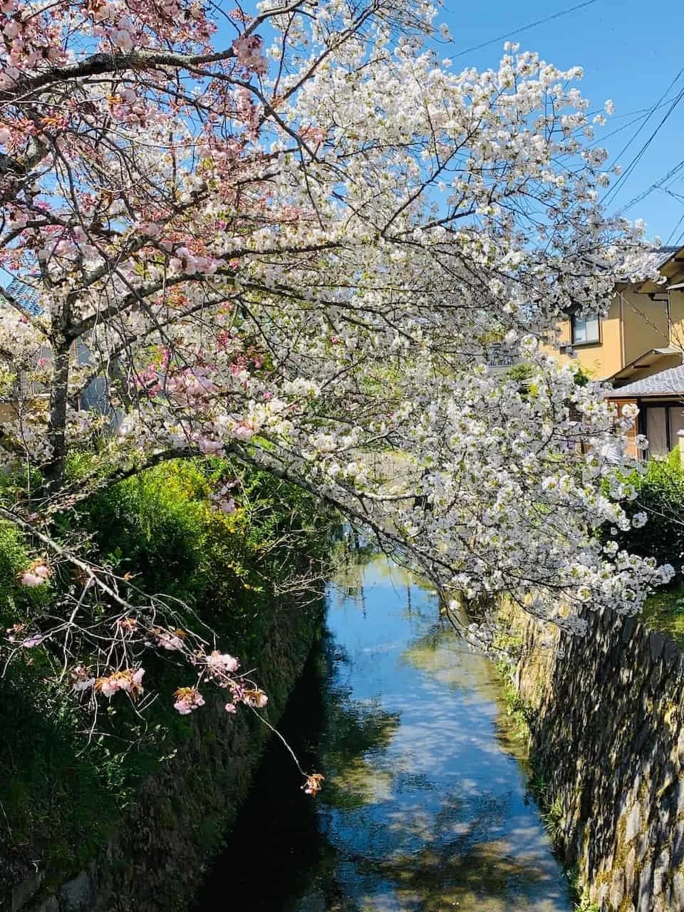 Philosophers Path Kyoto