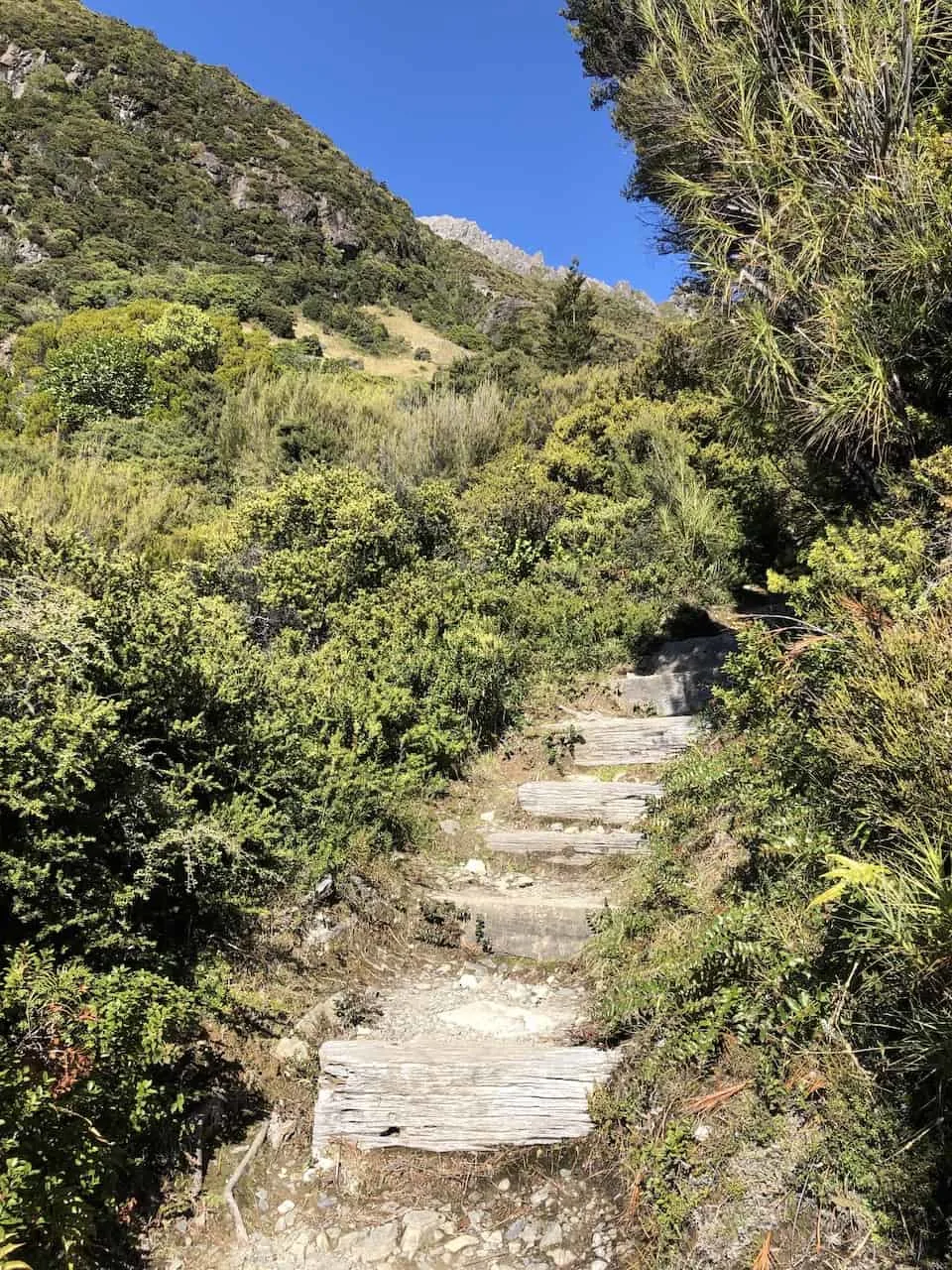 Red Tarns Track Steps