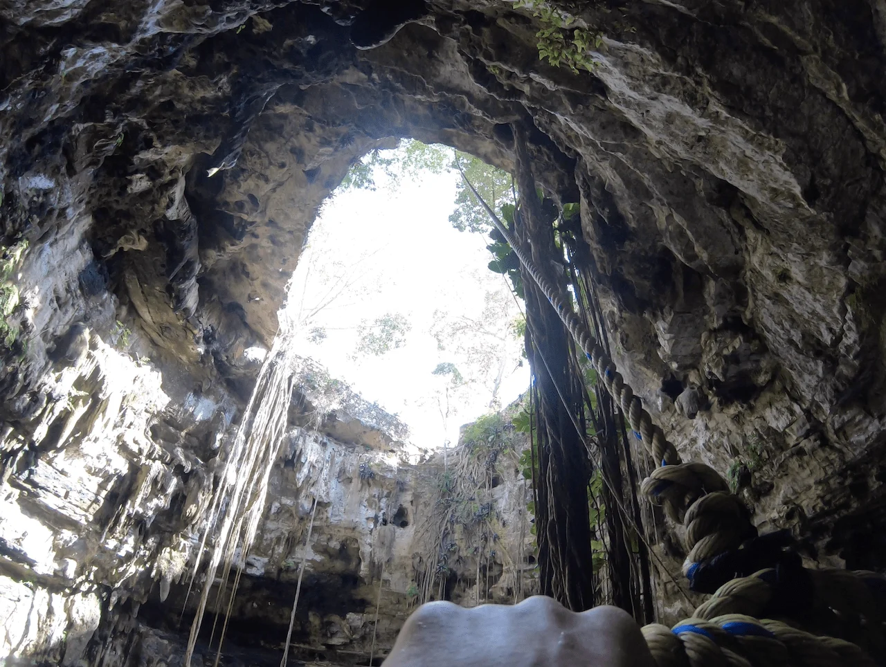 Rope Swing Cenote