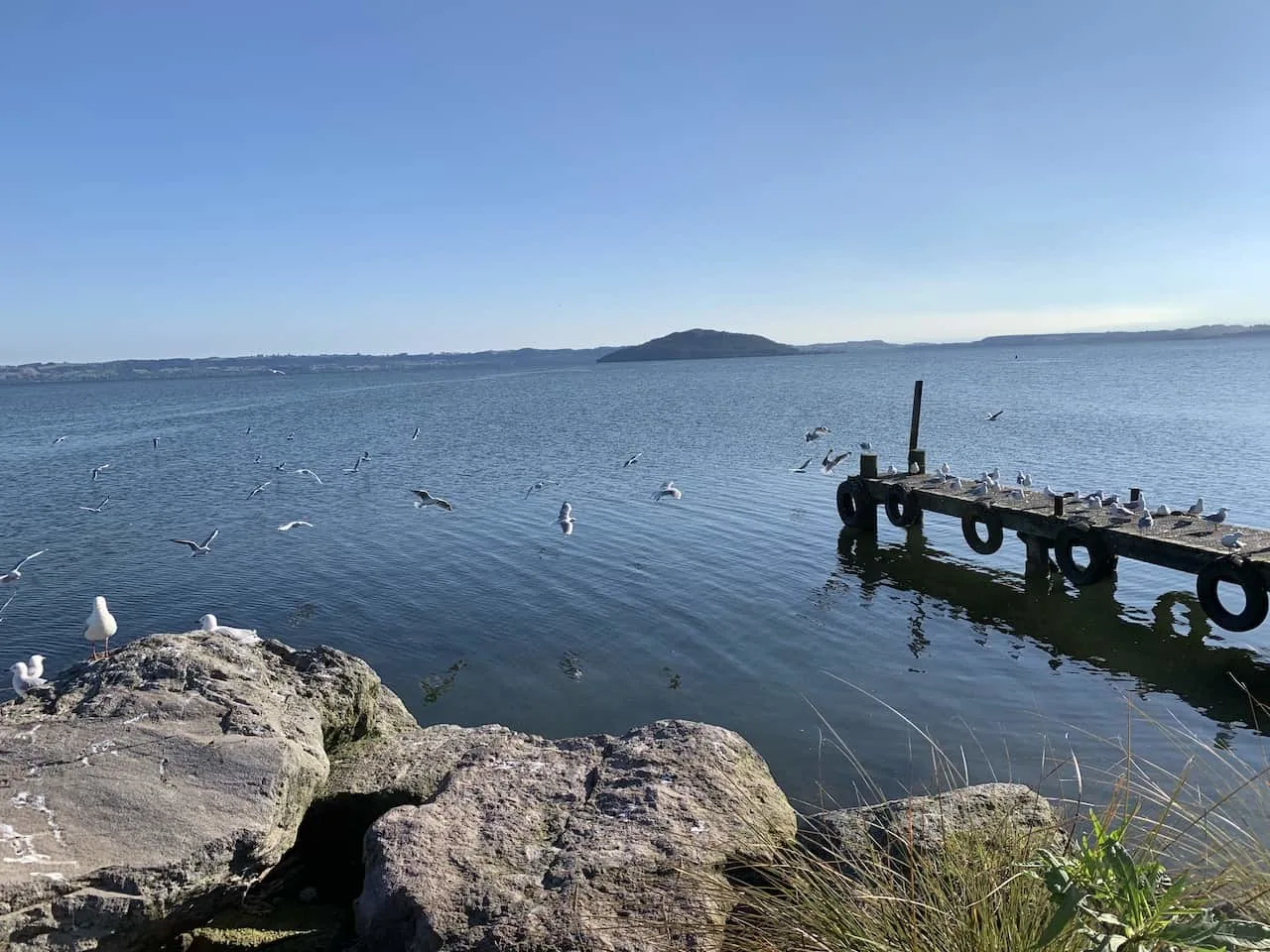 Rotorua Waterfront