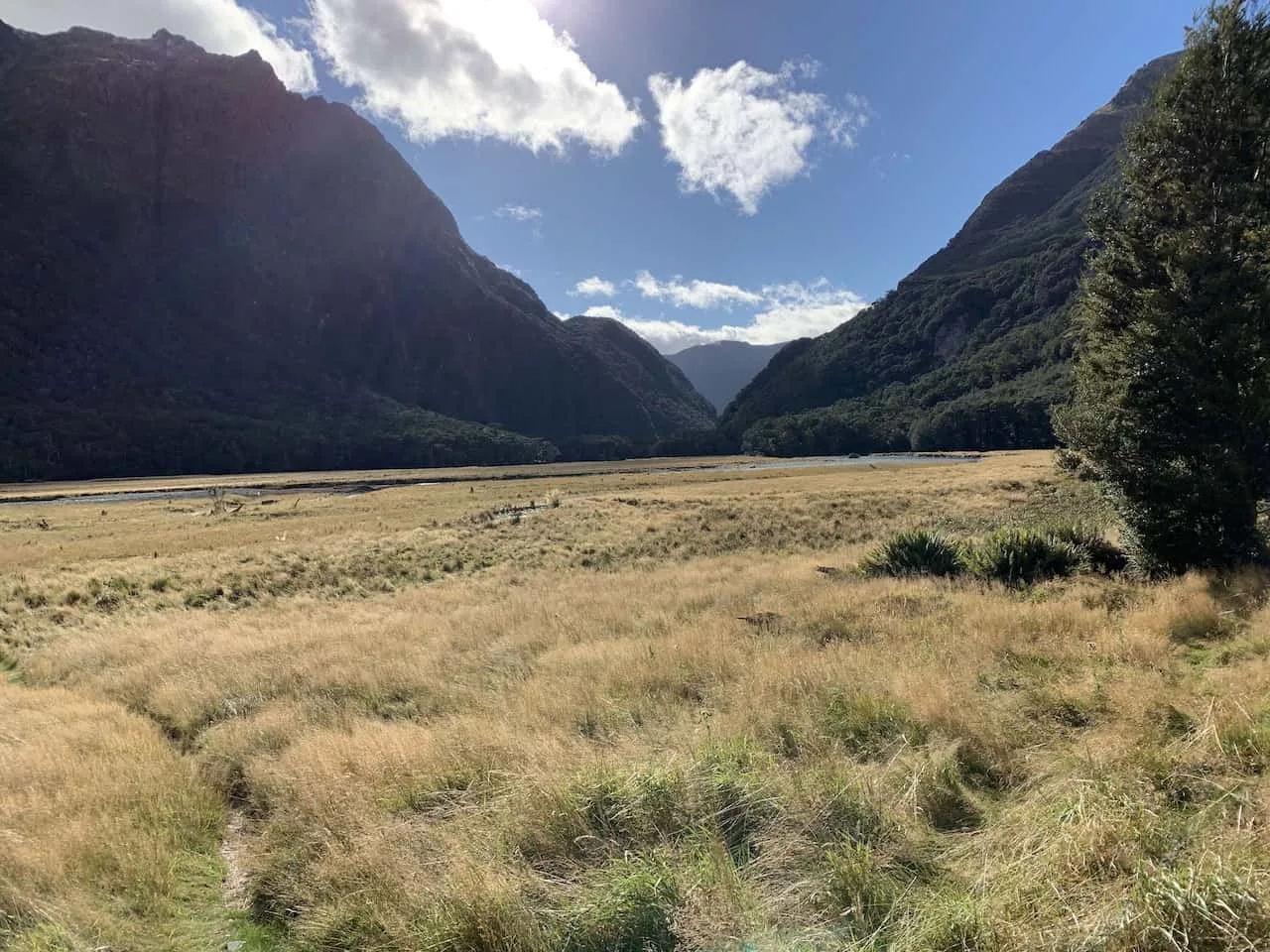 Routeburn Flats Field