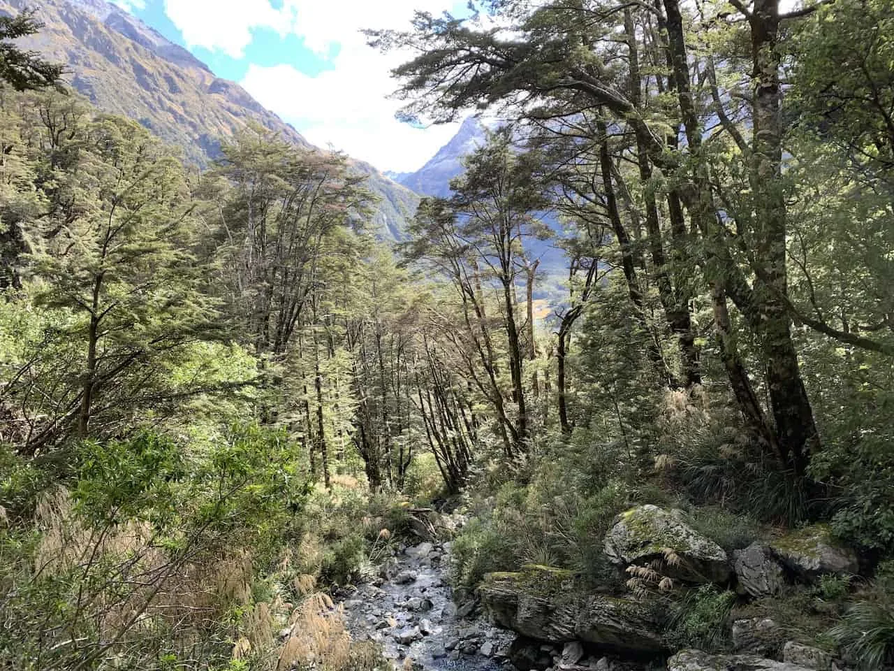 Routeburn Track Hike