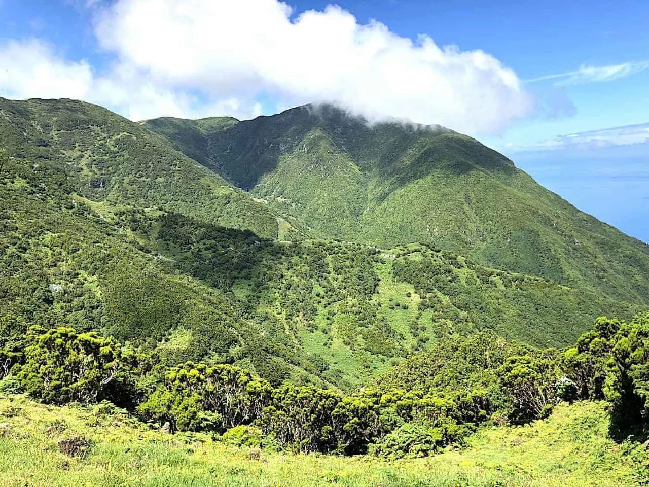 Sao Jorge Greenery