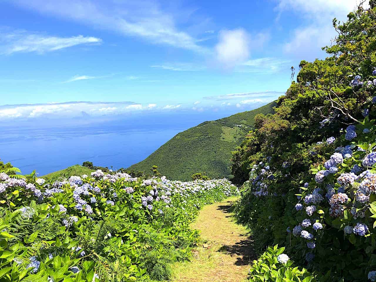 Serra do Topo - Caldeira do Santo Cristo – Fajã dos Cubres Trail