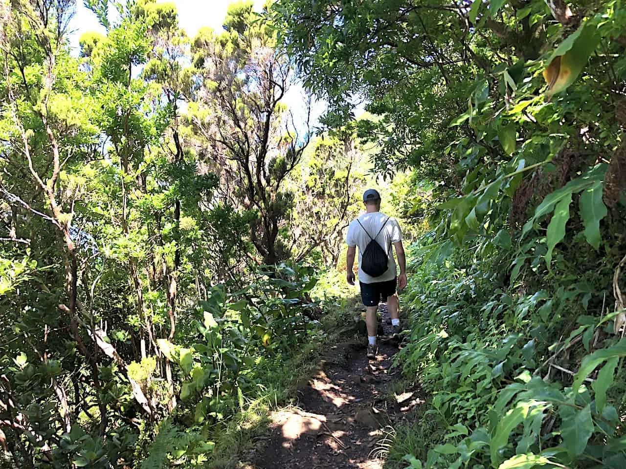 Serra do Topo Hike