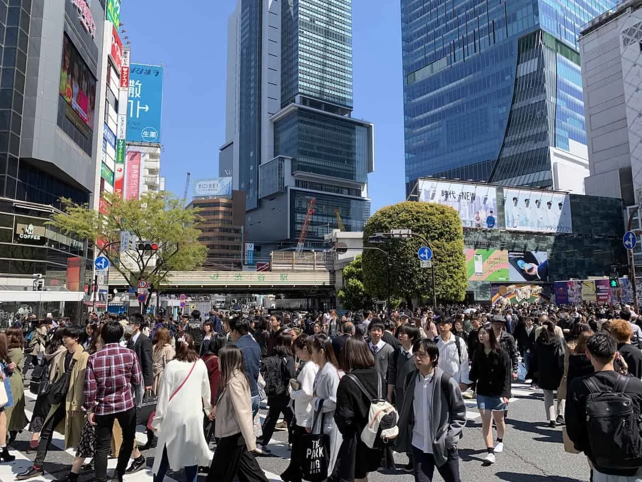 Shibuya Crossing