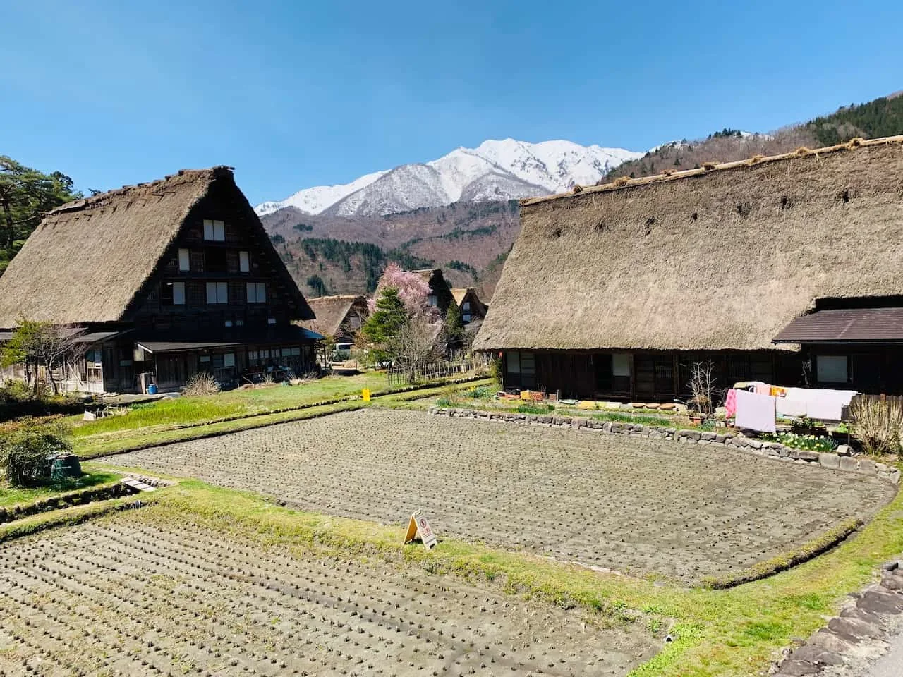 Shirakawago