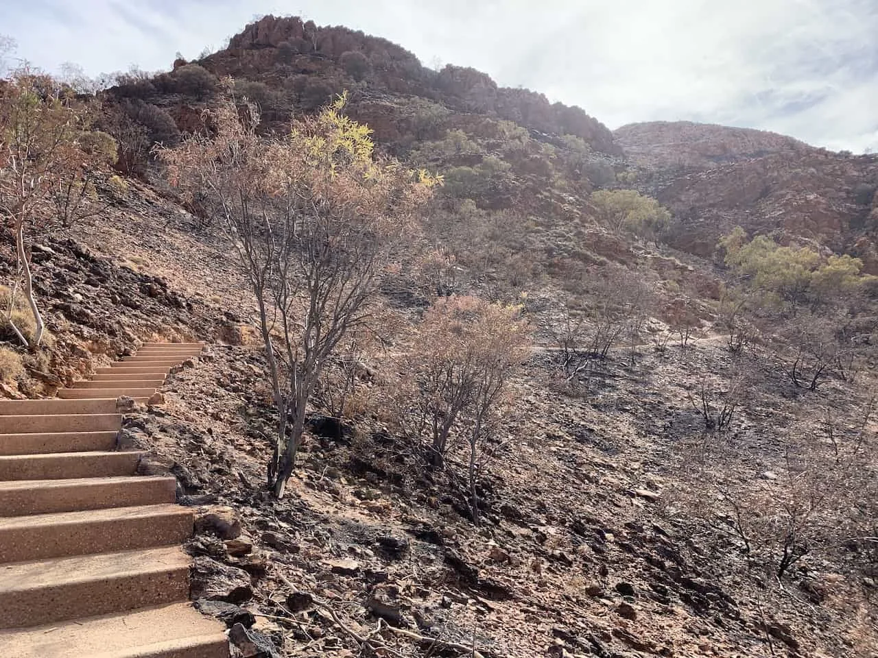 Stairs to Ghost Gum Lookout