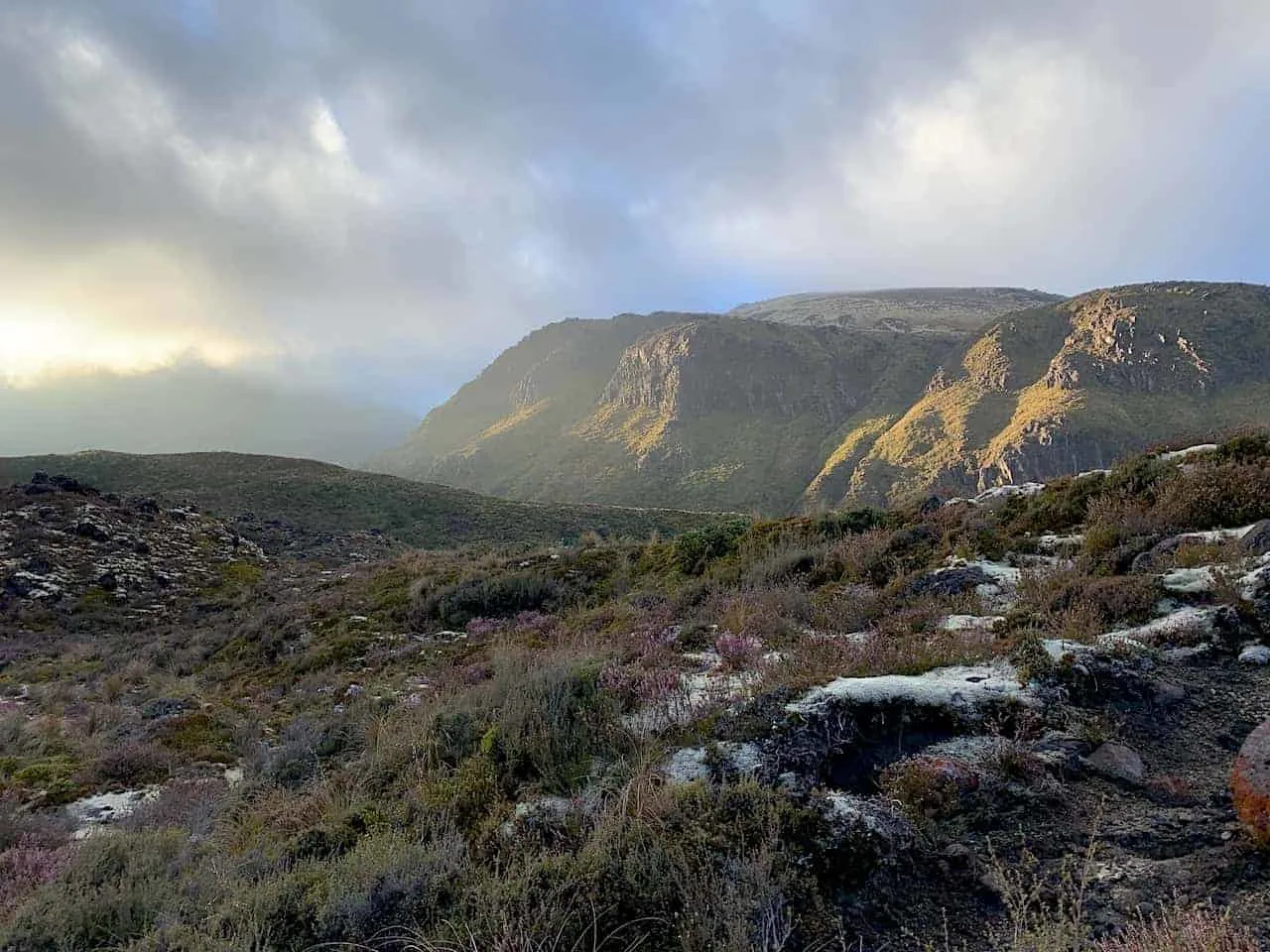 Tongariro Alpine Crossing Greenery