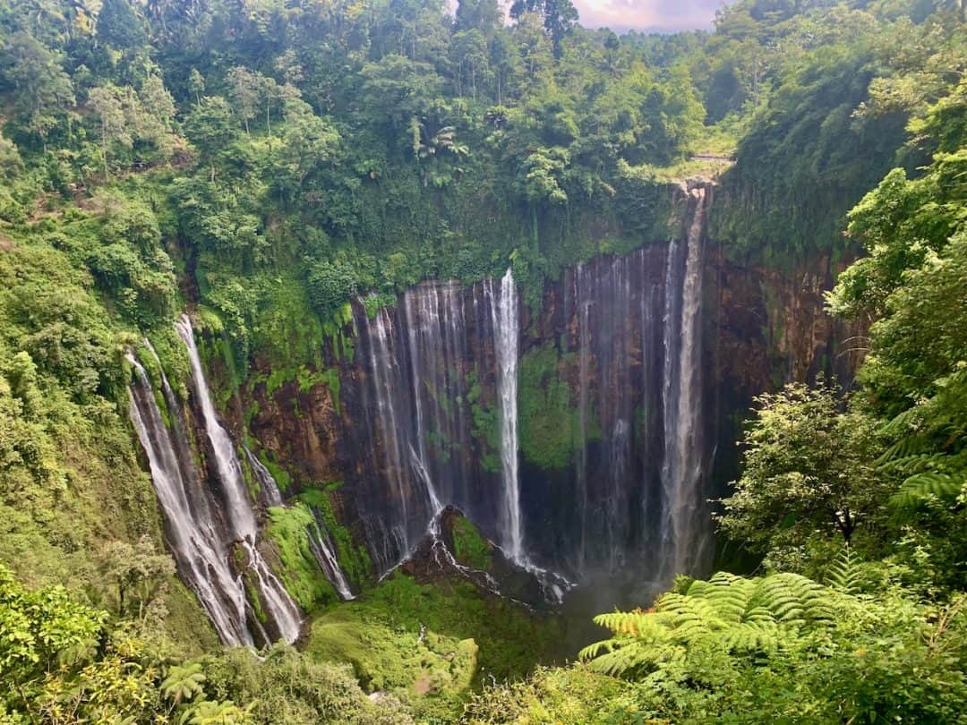 Tumpak Sewu Waterfall | EVERYTHING You Need To Know | East Java