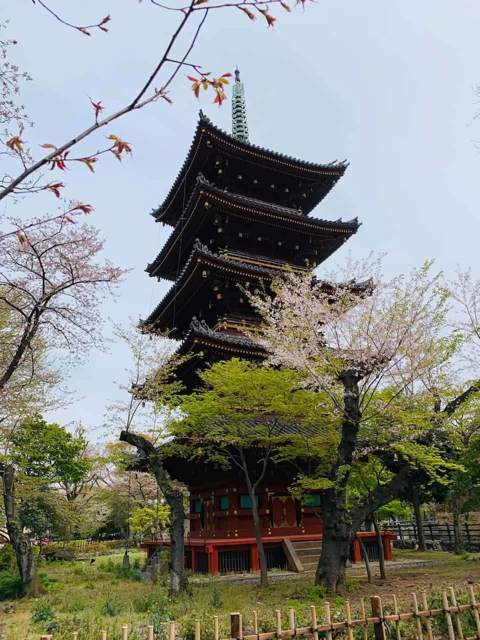 Ueno Park Pagoda