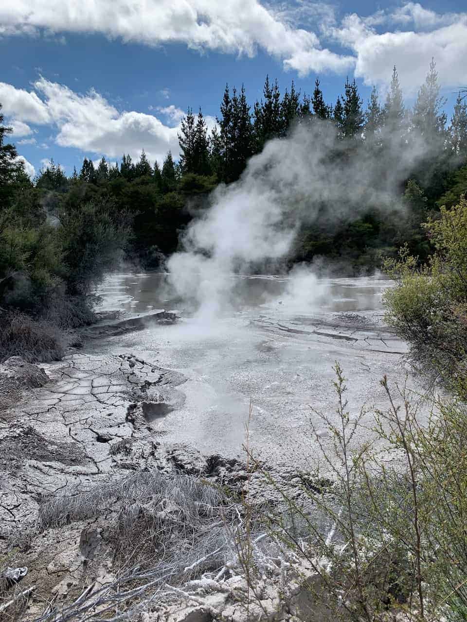 Wai O Tapu Mud Pools