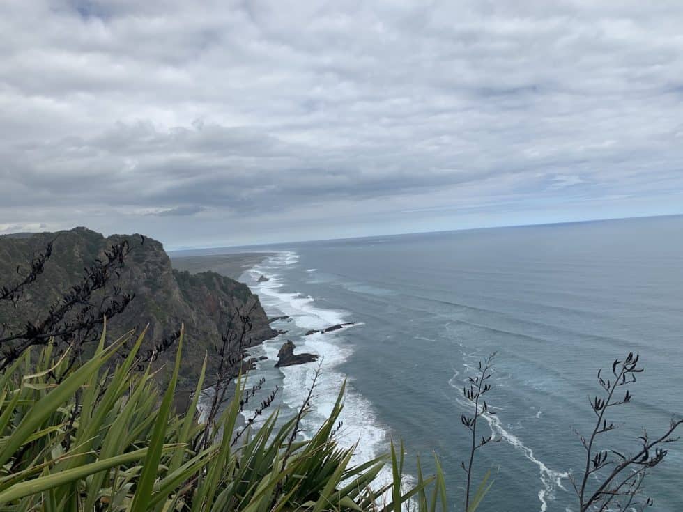 The Mercer Bay Loop Walk of the Waitakere Ranges New Zealand