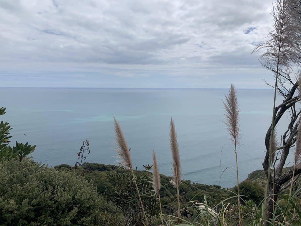 The Mercer Bay Loop Walk of the Waitakere Ranges New Zealand