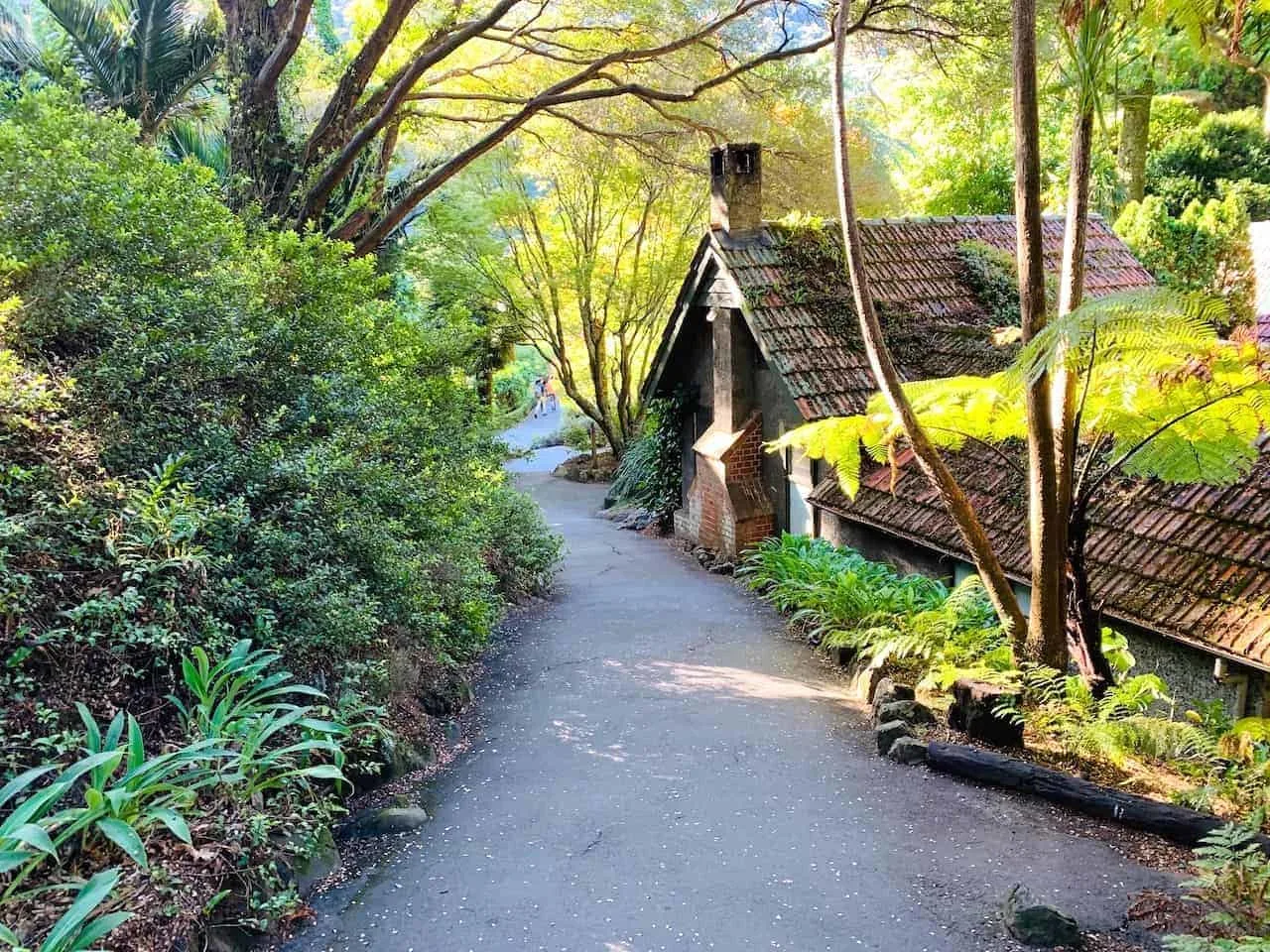 Wellington Botanic Gardens