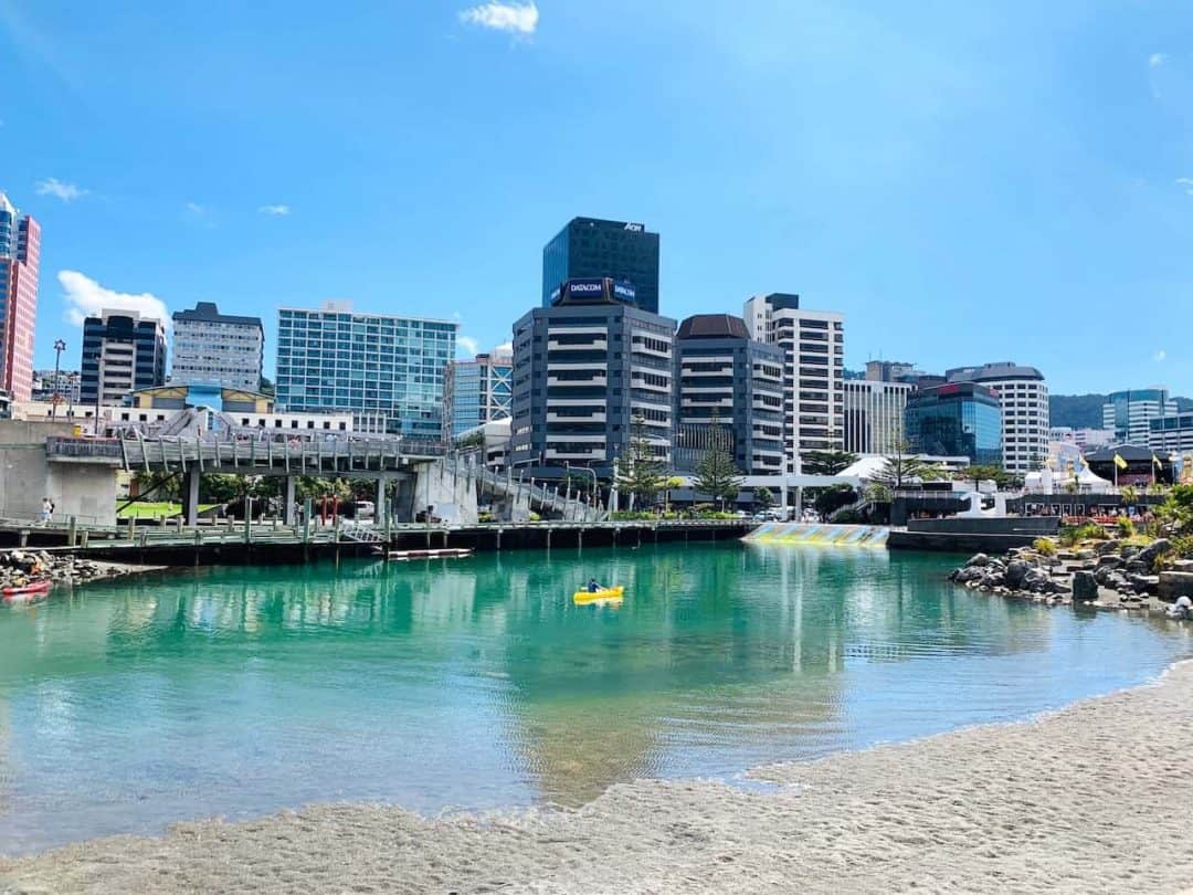8 MUST DO Wellington Activities A Complete 1 Day Wellington Itinerary