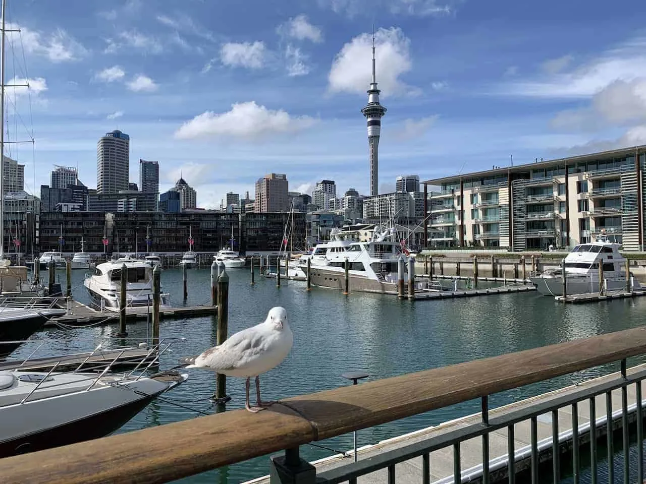 Wynyard Quarter