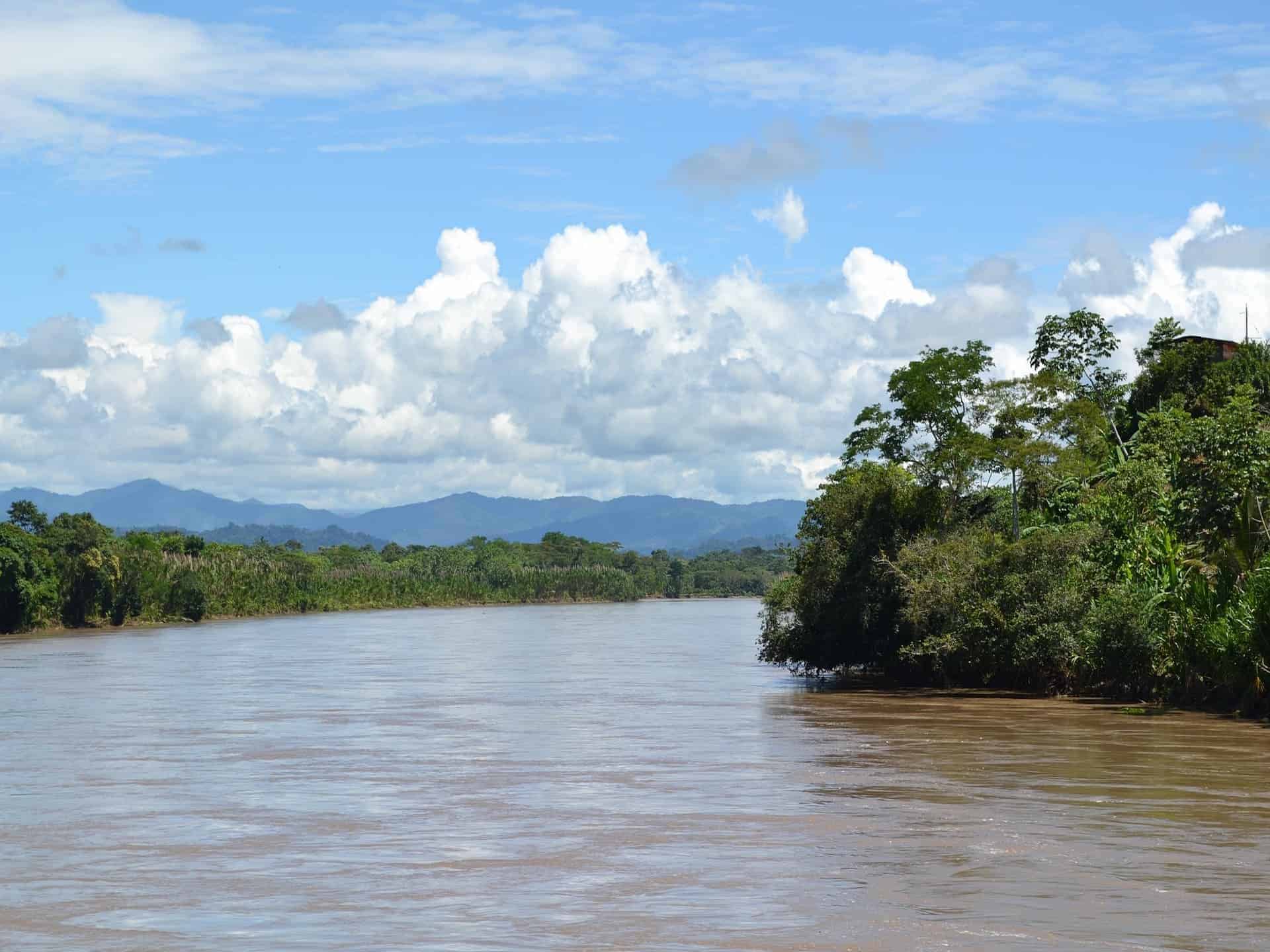 An Amazon Rainforest Experience at Refugio Amazonas Lodge