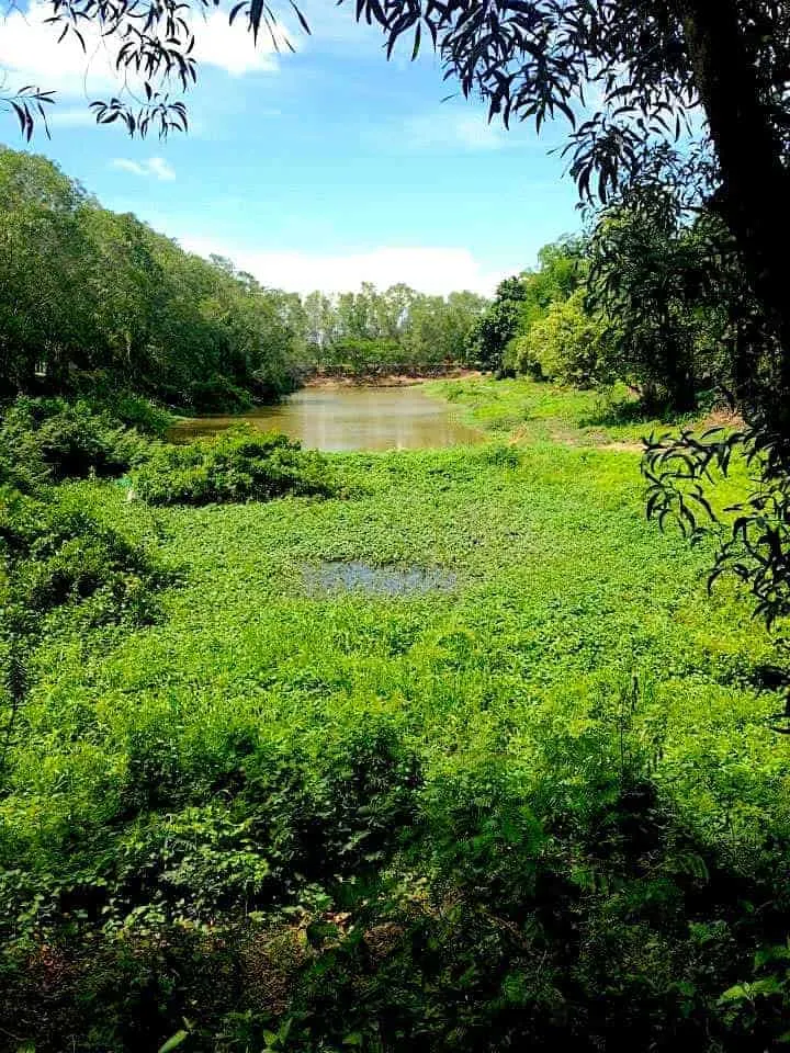 Choeung Ek Killing Fields 6