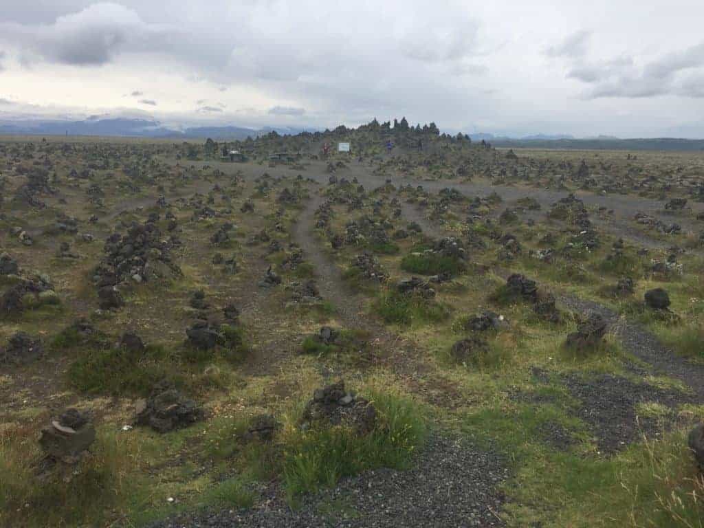 Laufskalavaroa Iceland