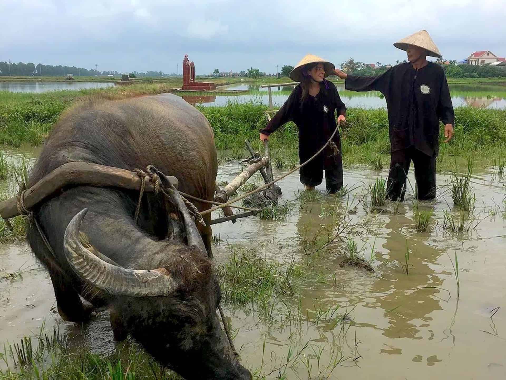 Vietnam Travel Tips