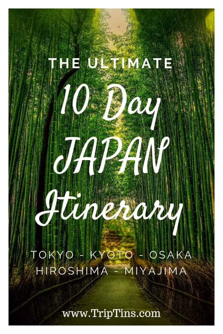 10 Days in Japan The Perfect Itinerary TripTins
