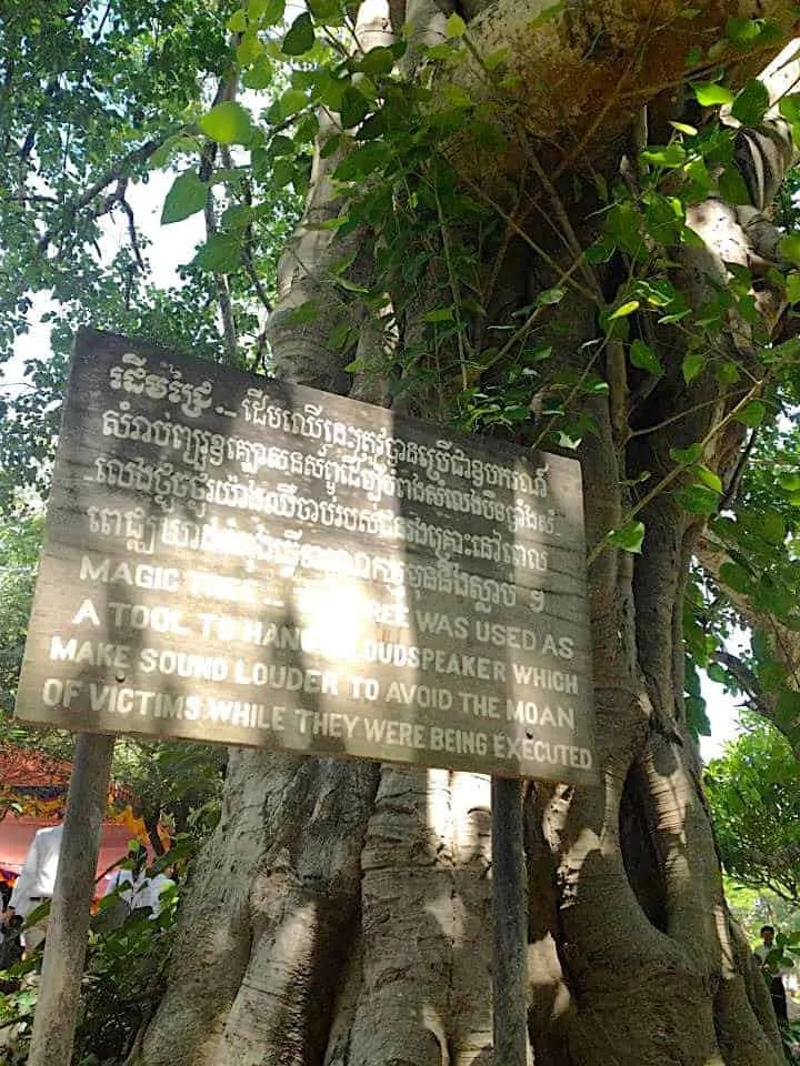 Choeung Ek Killing Fields Tree