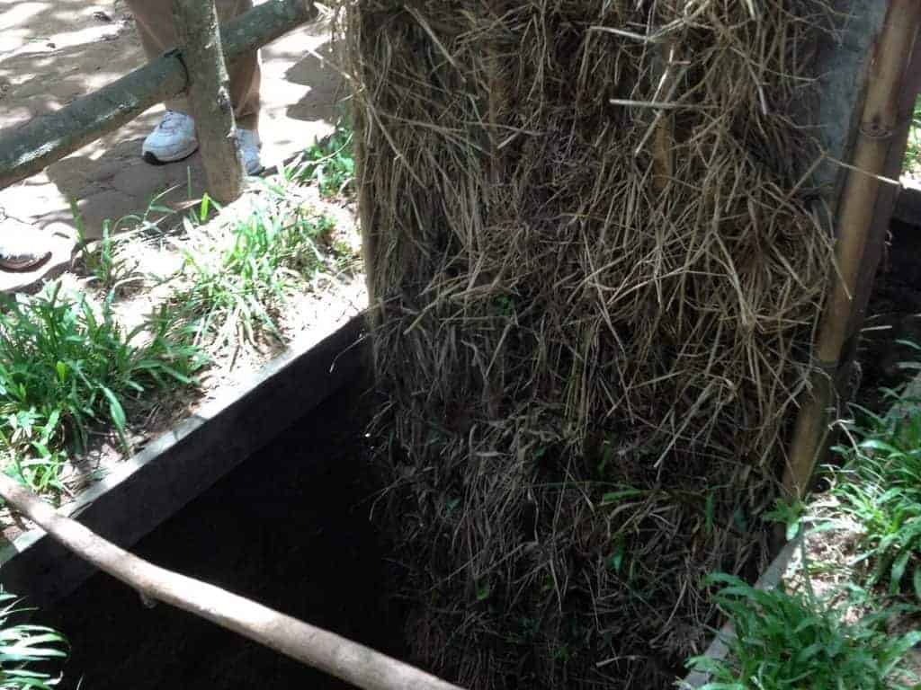 Cu Chi Tunnels Trap