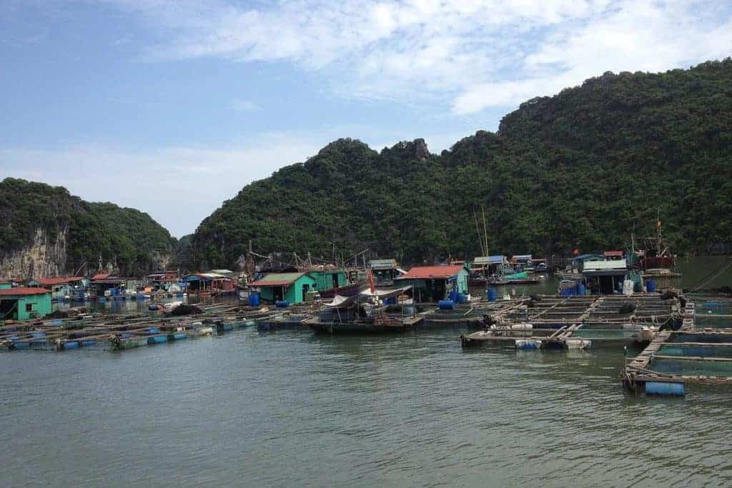 Halong Bay Floating Village