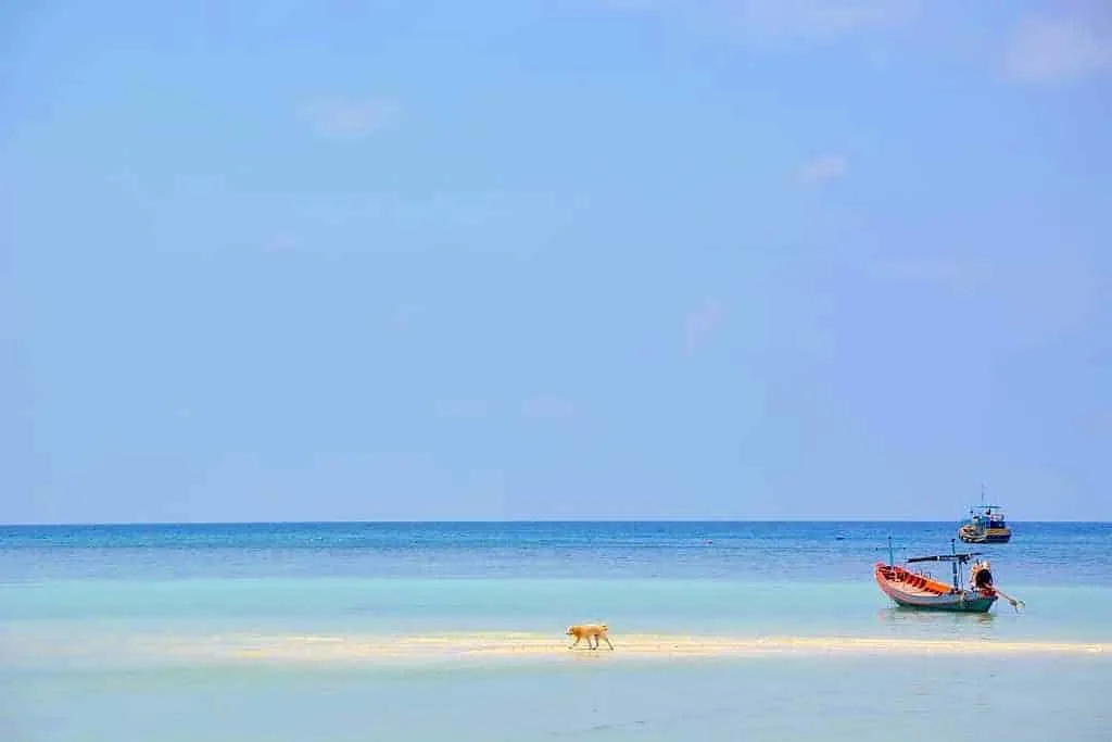 Koh tao chalok bay