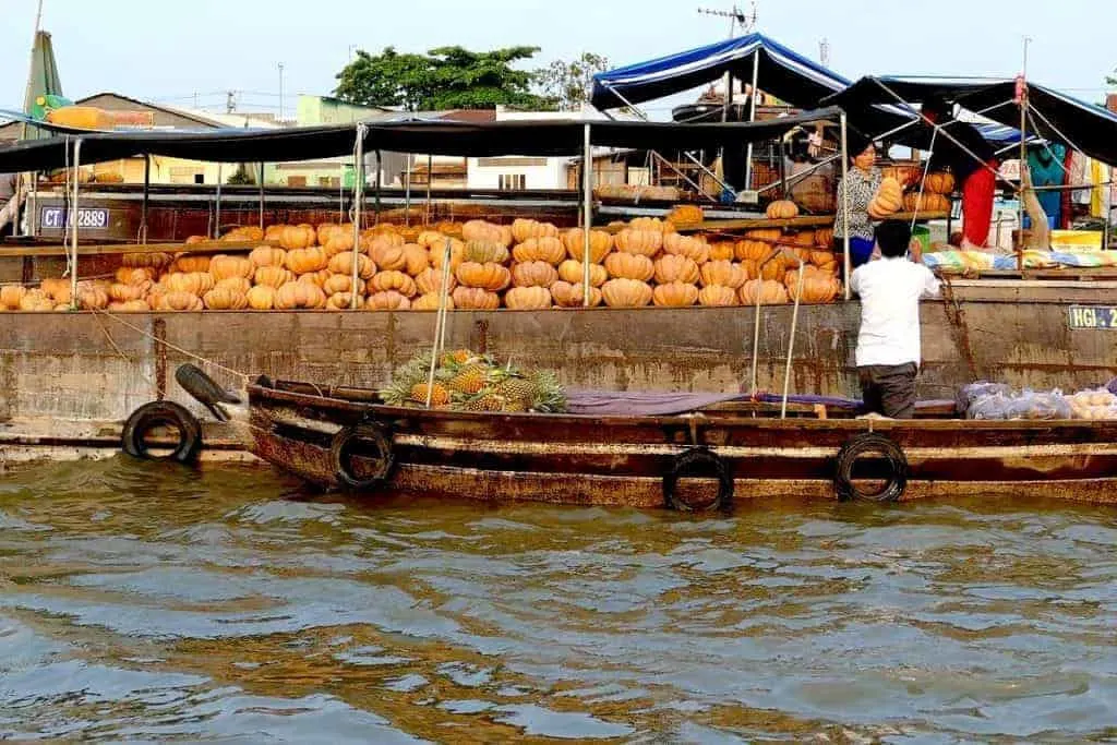 Mekong Delta Fruit