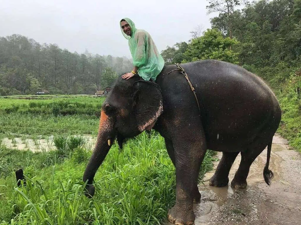 Patara Elephant Farm Eating